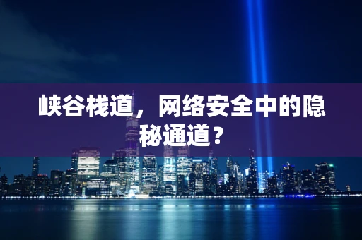 峡谷栈道，网络安全中的隐秘通道？