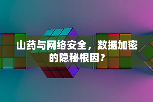 山药与网络安全，数据加密的隐秘根因？