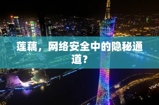 莲藕，网络安全中的隐秘通道？