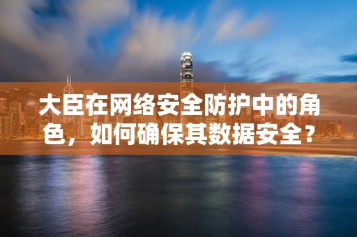 大臣在网络安全防护中的角色，如何确保其数据安全？