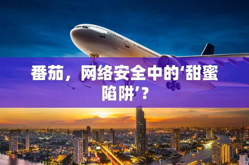 番茄，网络安全中的‘甜蜜陷阱’？