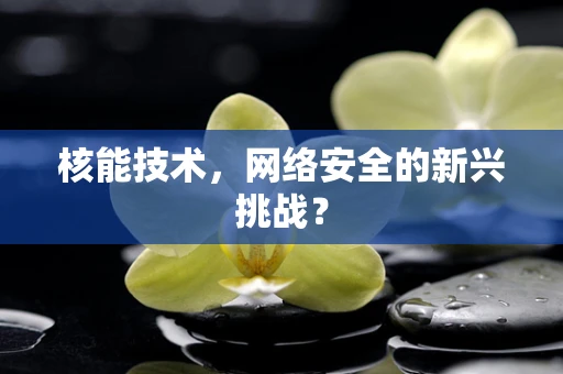 核能技术，网络安全的新兴挑战？