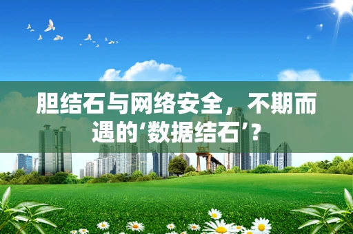 胆结石与网络安全，不期而遇的‘数据结石’？