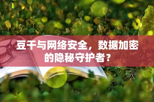 豆干与网络安全，数据加密的隐秘守护者？