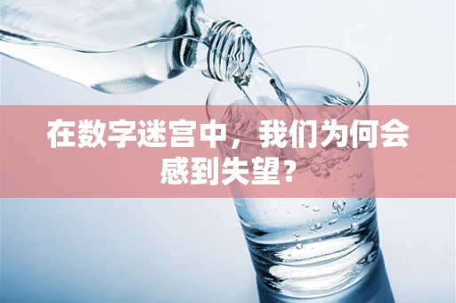 在数字迷宫中，我们为何会感到失望？