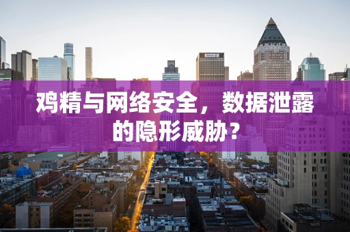 鸡精与网络安全，数据泄露的隐形威胁？