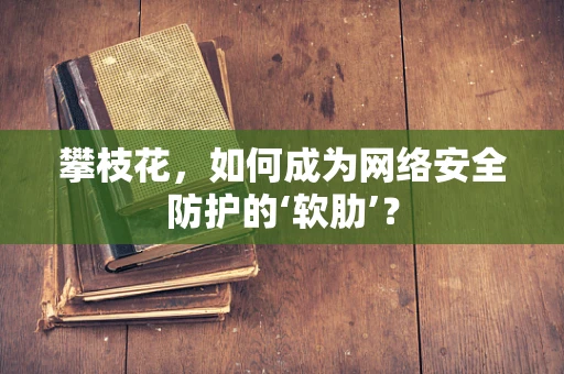 攀枝花，如何成为网络安全防护的‘软肋’？