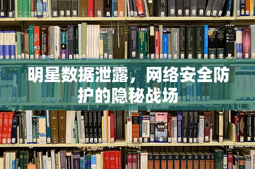 明星数据泄露，网络安全防护的隐秘战场