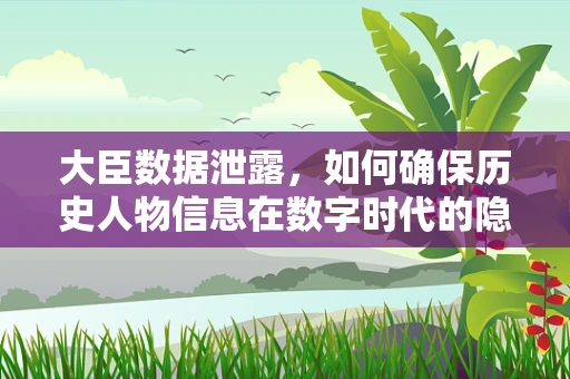 大臣数据泄露，如何确保历史人物信息在数字时代的隐私安全？