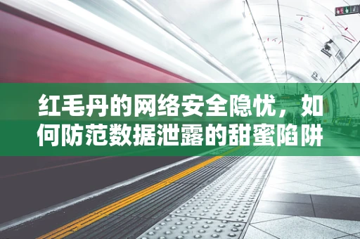 红毛丹的网络安全隐忧，如何防范数据泄露的甜蜜陷阱？