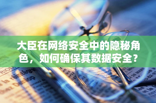 大臣在网络安全中的隐秘角色，如何确保其数据安全？