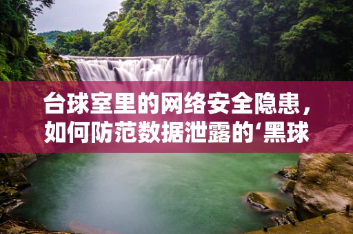台球室里的网络安全隐患，如何防范数据泄露的‘黑球’？