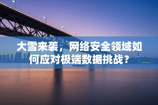 大雪来袭，网络安全领域如何应对极端数据挑战？