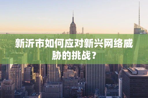 新沂市如何应对新兴网络威胁的挑战？