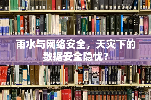 雨水与网络安全，天灾下的数据安全隐忧？
