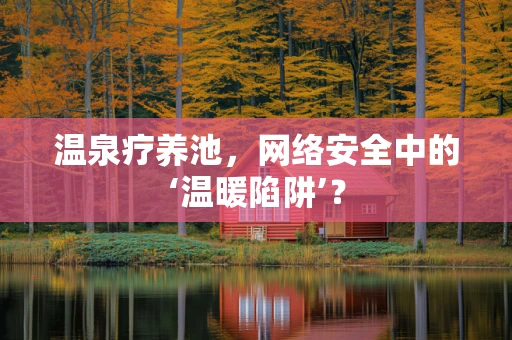 温泉疗养池，网络安全中的‘温暖陷阱’？