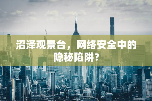 沼泽观景台，网络安全中的隐秘陷阱？