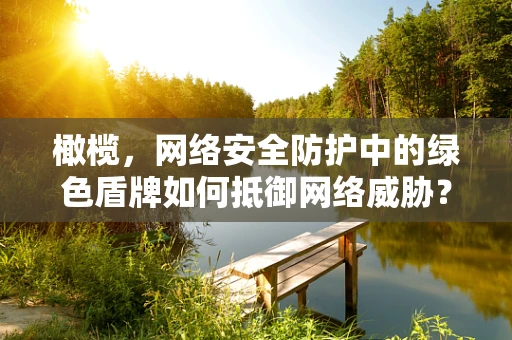 橄榄，网络安全防护中的绿色盾牌如何抵御网络威胁？