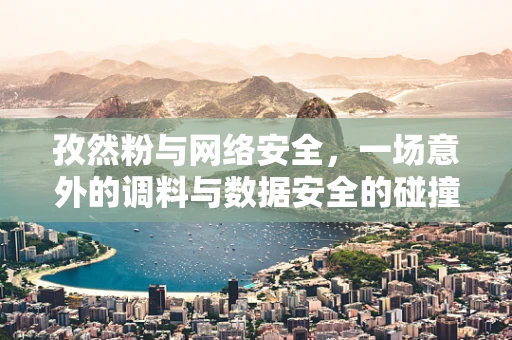 孜然粉与网络安全，一场意外的调料与数据安全的碰撞