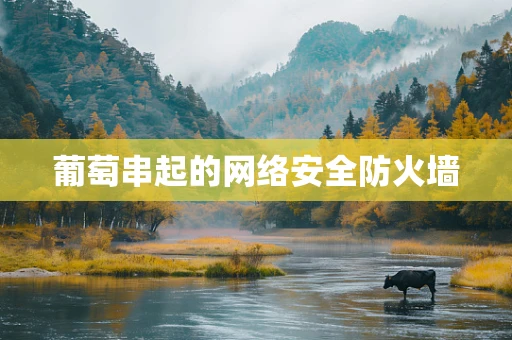 葡萄串起的网络安全防火墙