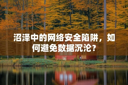 沼泽中的网络安全陷阱，如何避免数据沉沦？