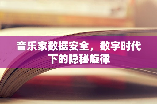 音乐家数据安全，数字时代下的隐秘旋律