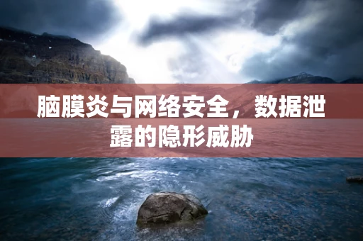 脑膜炎与网络安全，数据泄露的隐形威胁