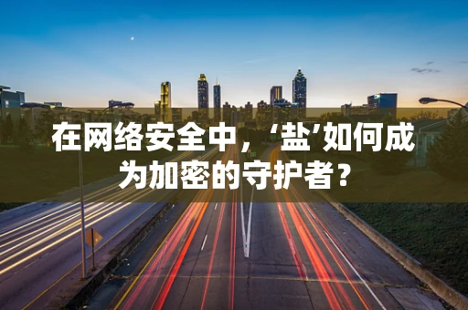 在网络安全中，‘盐’如何成为加密的守护者？