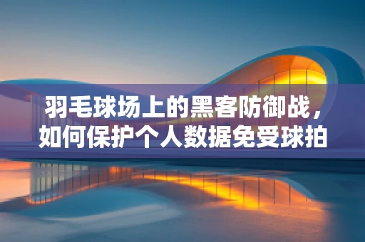 羽毛球场上的黑客防御战，如何保护个人数据免受球拍攻击？