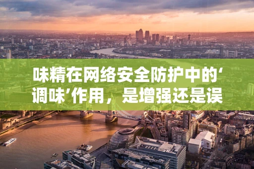 味精在网络安全防护中的‘调味’作用，是增强还是误导？