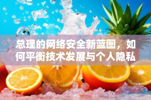 总理的网络安全新蓝图，如何平衡技术发展与个人隐私保护？