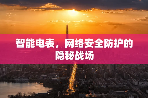 智能电表，网络安全防护的隐秘战场