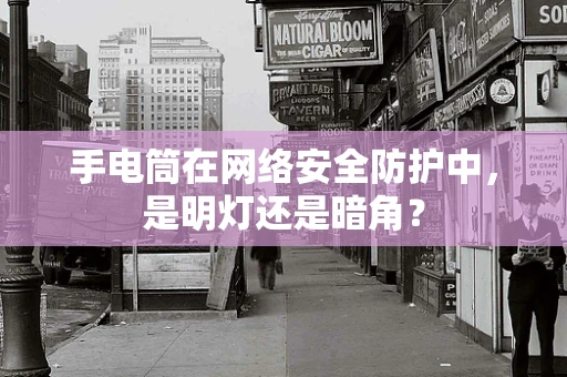 手电筒在网络安全防护中，是明灯还是暗角？