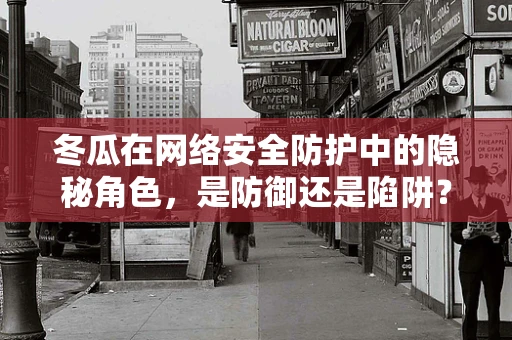 冬瓜在网络安全防护中的隐秘角色，是防御还是陷阱？