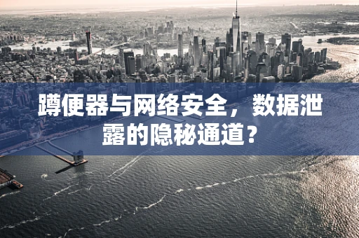 蹲便器与网络安全，数据泄露的隐秘通道？
