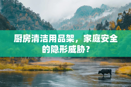 厨房清洁用品架，家庭安全的隐形威胁？