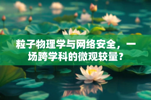 粒子物理学与网络安全，一场跨学科的微观较量？