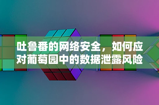 吐鲁番的网络安全，如何应对葡萄园中的数据泄露风险？