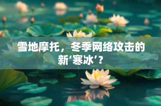 雪地摩托，冬季网络攻击的新‘寒冰’？