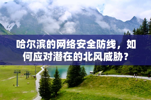 哈尔滨的网络安全防线，如何应对潜在的北风威胁？