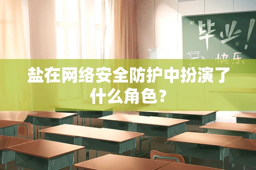 盐在网络安全防护中扮演了什么角色？