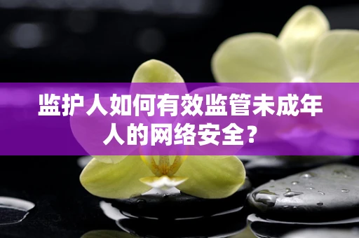 监护人如何有效监管未成年人的网络安全？