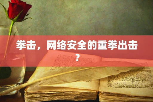 拳击，网络安全的重拳出击？