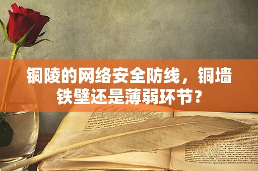 铜陵的网络安全防线，铜墙铁壁还是薄弱环节？