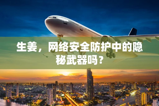 生姜，网络安全防护中的隐秘武器吗？