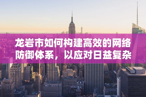 龙岩市如何构建高效的网络防御体系，以应对日益复杂的网络威胁？