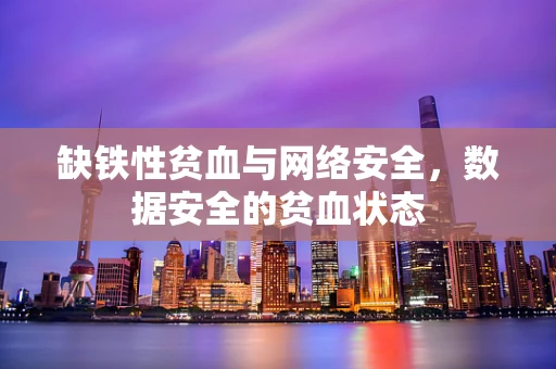 缺铁性贫血与网络安全，数据安全的贫血状态