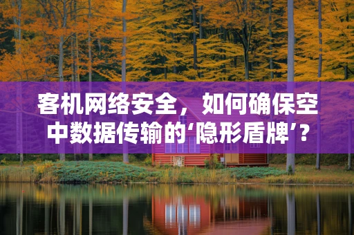 客机网络安全，如何确保空中数据传输的‘隐形盾牌’？