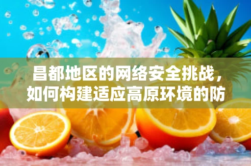 昌都地区的网络安全挑战，如何构建适应高原环境的防御体系？