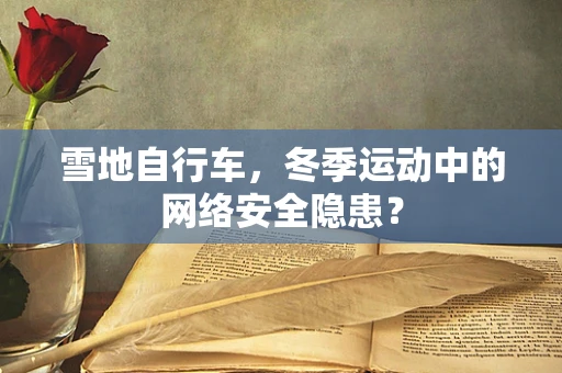 雪地自行车，冬季运动中的网络安全隐患？